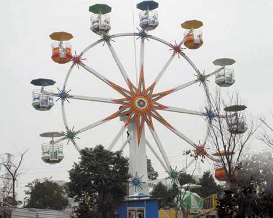 BAR-FW2 Goldlion Ferris Wheel with Top Quality